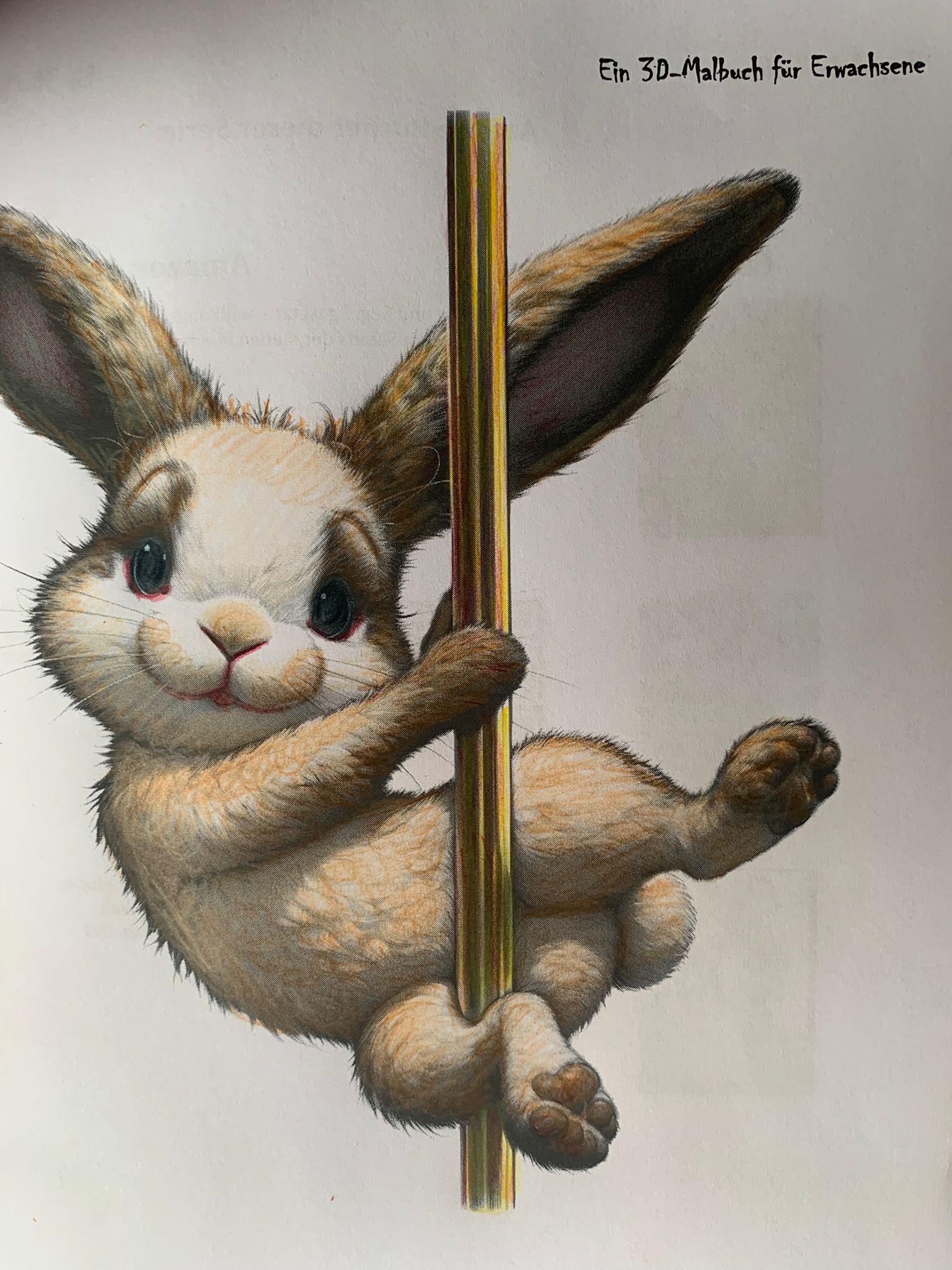 Hase Poledance ausgemalt